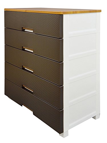 天馬　fits フィッツプラス　メッシュ　ブラウン　5段　チェスト 天馬 ○☆ フィッツプラス メッシュ FM6505 ブラウン tenma テンマ